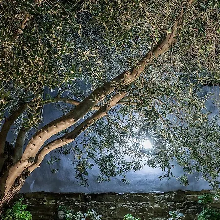 Apartament To Konatzi Tou Flokka