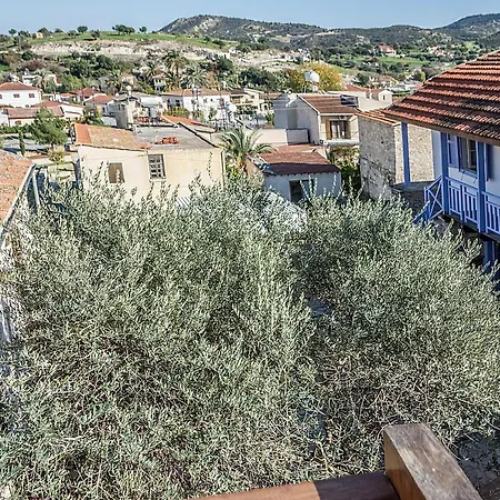 To Konatzi Tou Flokka * Agios Theodoros