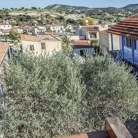 To Konatzi Tou Flokka * Agios Theodoros