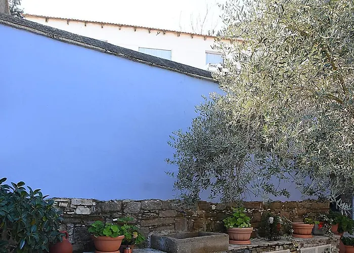 To Konatzi Tou Flokka *