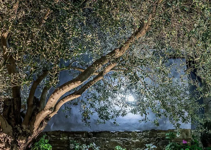 Appartement To Konatzi Tou Flokka